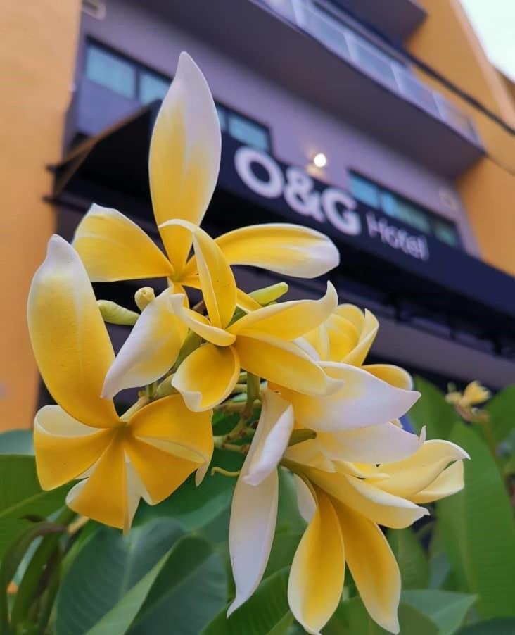 O&G Hotel Parit Buntar Extérieur photo